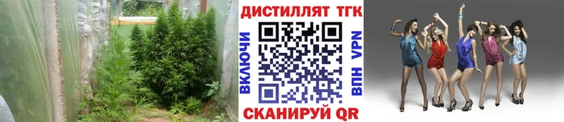 продажа наркотиков  это клад  OMG маркетплейс  Дистиллят ТГК вейп  Шелехов 