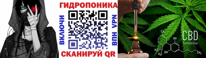 Конопля планчик  Шелехов 
